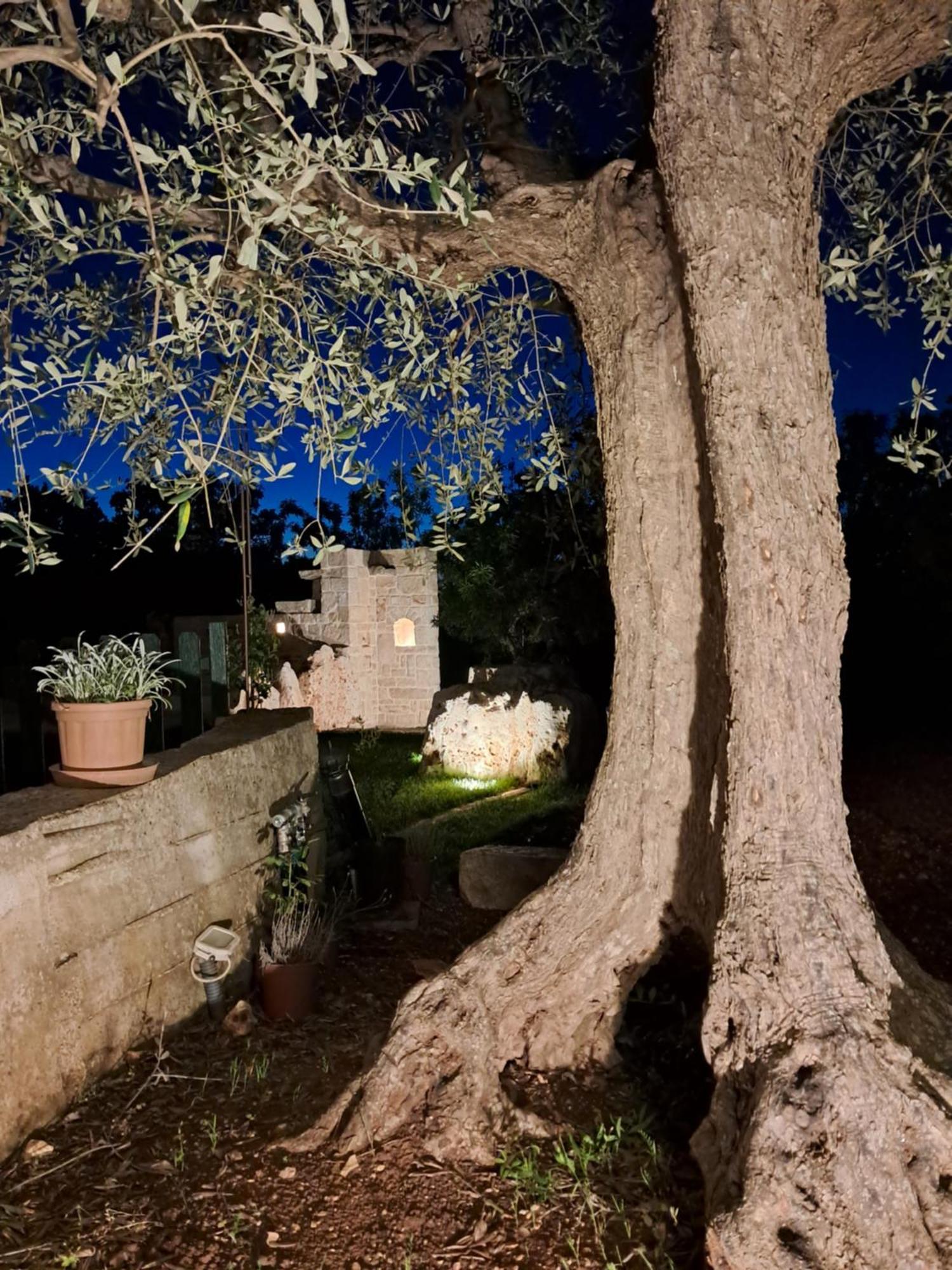 Vila Trulli: La Pace Dei Sensi Alberobello Exteriér fotografie